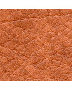 Autumn Leaf - Speedo Panels - Round Binacle - Mini Mk1 & Mk2