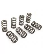 Single Valve Spring Set - 850/1000/1100 