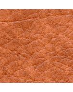 Autumn Leaf - Speedo Panels - Round Binacle - Mini Mk1 & Mk2