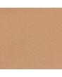 Biscuit with Chrome Strip - Door Panels - Pair - Late Type - Mini 93-00