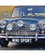 Italian Job Style Lamp bar on Mk1 Mini