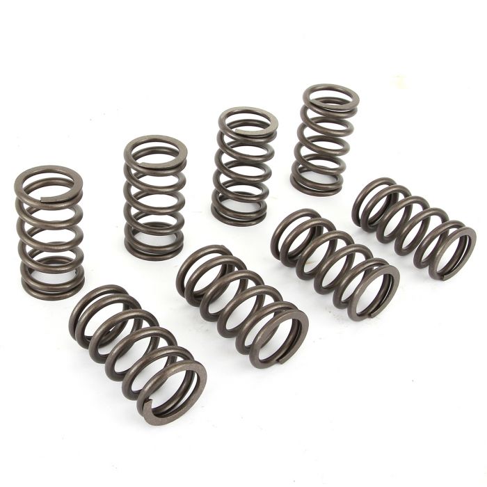 Single Valve Spring Set - 850/1000/1100 